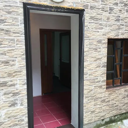 Brezoianu Studio